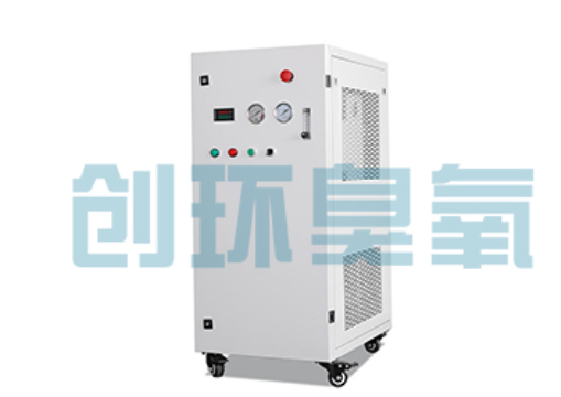 北辰石斑鱼养殖水质调控完整指南:臭氧发生器配置与操作步骤