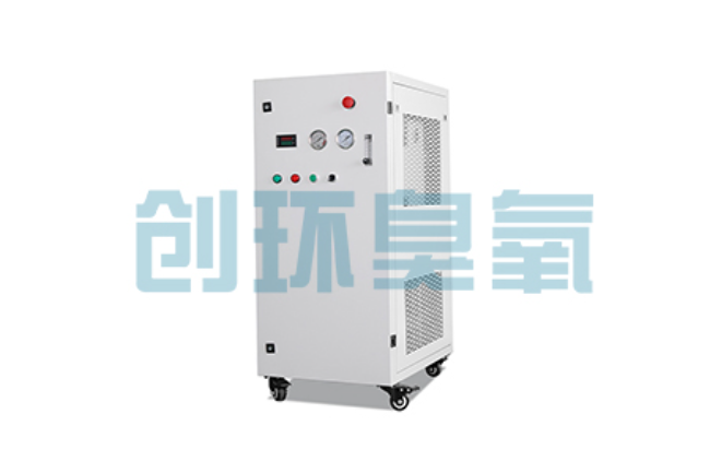 北辰比传统换水更高效?臭氧发生器在石斑鱼养殖中的水质净化原理解析